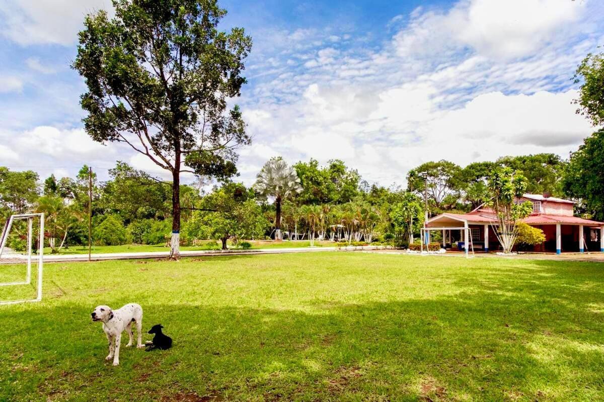 Hacienda El Morichal Séjour à la campagne